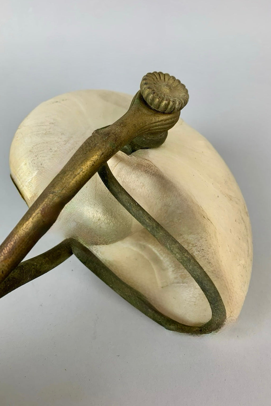 Authenticated Tiffany Studios NY 'Nautilus' Shell Table Lamp – LAMP/PARTS