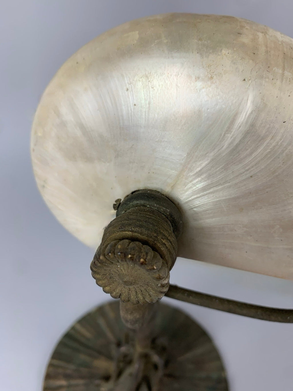 Authenticated Tiffany Studios NY 'Nautilus' Shell Table Lamp – LAMP/PARTS