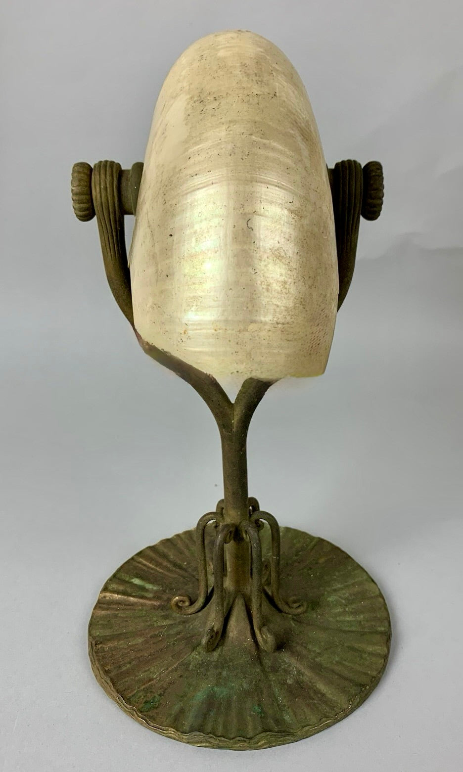 Authenticated Tiffany Studios NY 'Nautilus' Shell Table Lamp – LAMP/PARTS